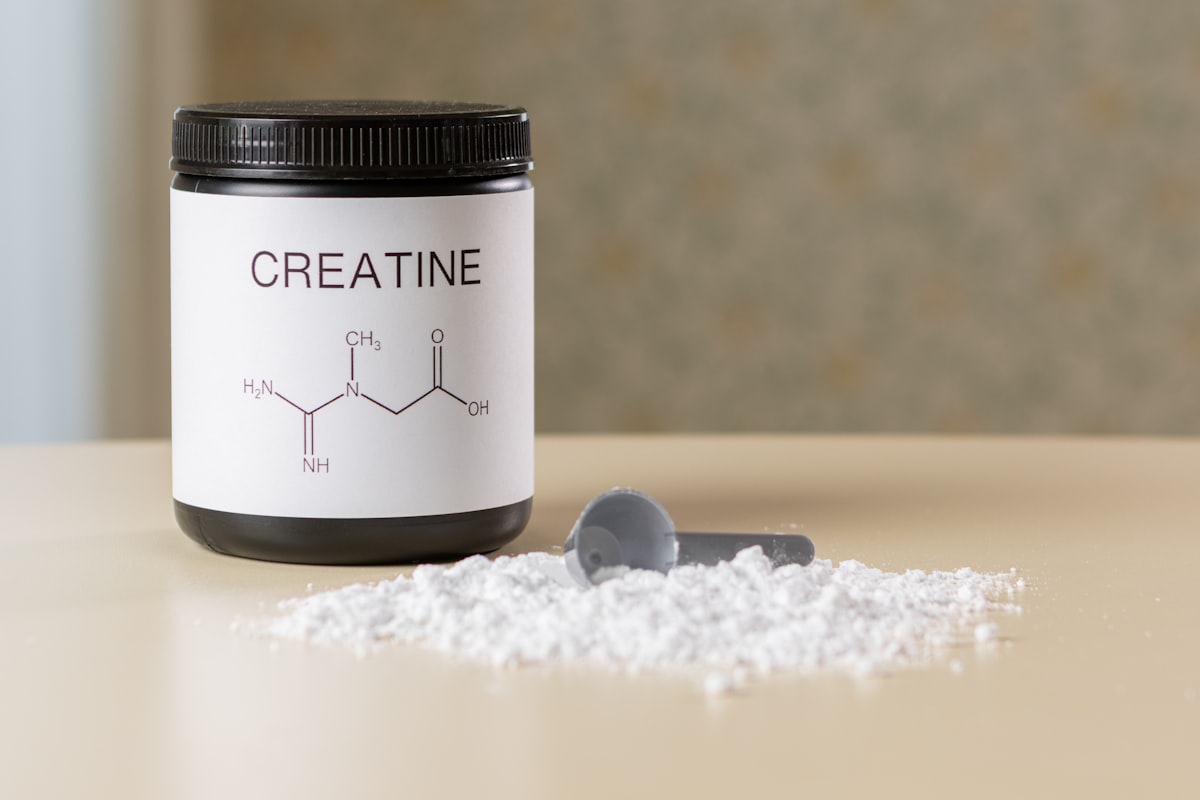 Waarom bijna iedereen van creatine kan profiteren